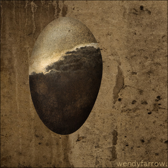 Specimens : Infinite Source